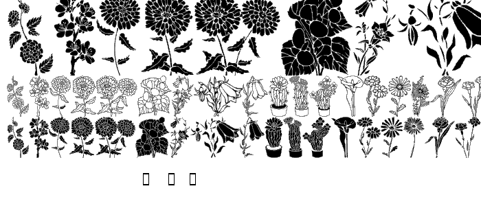DT Flowers 1 font
